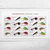 Freshwater Fishing Lures Stamps, Sheet of 100 - Forever 73¢